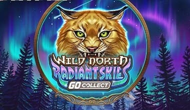 Wild North Radiant Skies Go Collect